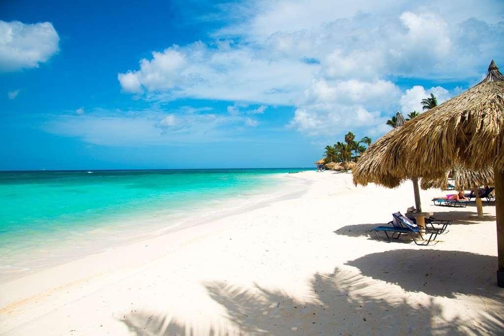 Divi Dutch Village Beach Resort Palm Beach Alam Semulajadi gambar